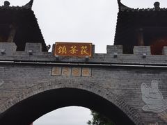 -茯茶镇
