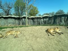 -北京野生动物园