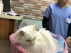 -纳吉亚猫专科动物医院博雅分院