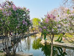 -三里河公园