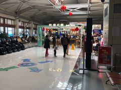 -丽江三义国际机场