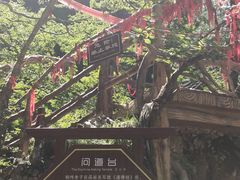 -塔云山