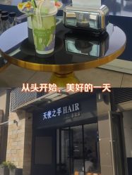 -天使之手