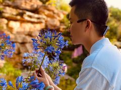 -花之城