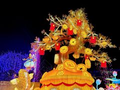 -厦门园林博览苑