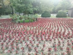 -秦皇岛野生动物园