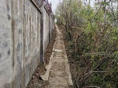 -蟒山国家森林公园-停车场