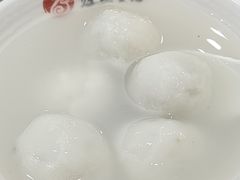 -海丝金凤(金鱼店)