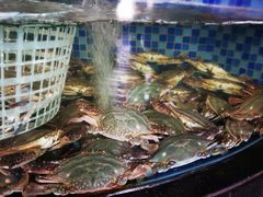 -浩运·海鲜青岛菜·海胆水饺(石老人店)