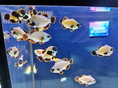 -沈阳海洋探索中心