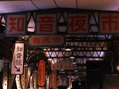 -武汉知音号