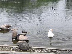 -同济大学(嘉定校区)