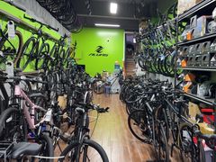 -道路口单车爱瓦士dahon大行