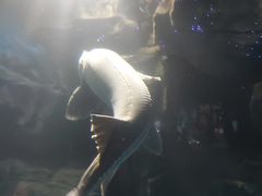 -石家庄海洋公园