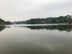 -南国桃园旅游度假区