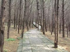 -红螺寺