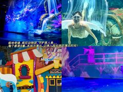 -海合安武汉极地海洋公园