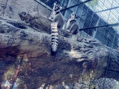 -泉州海丝野生动物世界