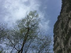 -青峰峡国家森林公园