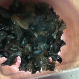 家庭版醋溜木须