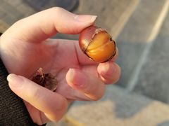 -秋栗香(地安门店)