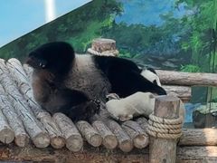 -大连森林动物园