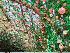 -芜湖方特东方神画