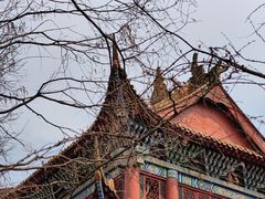 -成都动物园