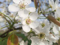 -竹泉村旅游度假区