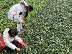 -小鱼草莓采摘园农家乐·小鱼餐厅