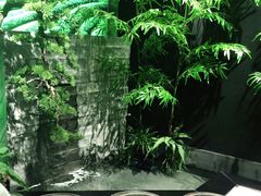 -湘邻呷铺·田园家宴(汉基广场店)