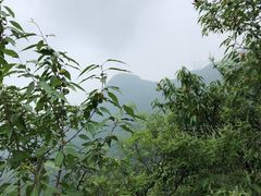 -阳台山自然风景区