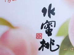 -老袁家蜜桃农场·阳山水蜜桃