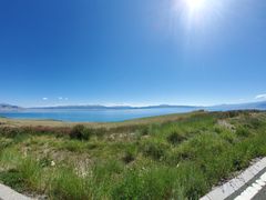 -煲来饱去冷水鱼