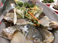 清蒸红星斑-阿兴生鱼片(大光路店)