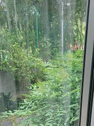 -馨月汇·一悦馨香月子中心(前滩店)