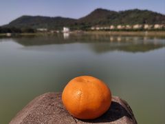 -风云岭森林公园