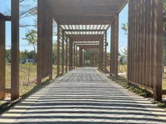 -福田红树林生态公园