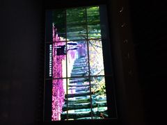 东方红影城-东方红影城