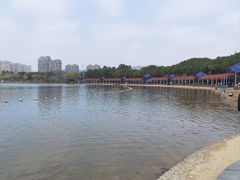 -暨阳湖生态园