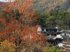 -塔川景区