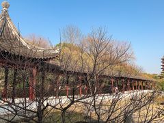 -盘门景区