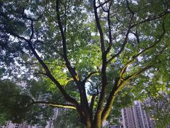 -苏州河梦清园环保主题公园