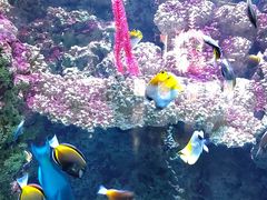 -海合安青岛极地海洋公园