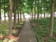 -石家庄市植物园