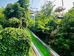 -富斯特索道