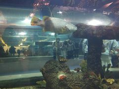 -花味·自助烤肉(雨花客厅店)