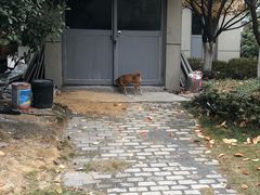 -安徽大学(磬苑校区)