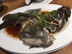清蒸老虎斑-泰华海鲜中餐厅(普吉镇店)
