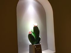 -禧瑞 ·丝浴主题·水疗·spa(中山公园店)